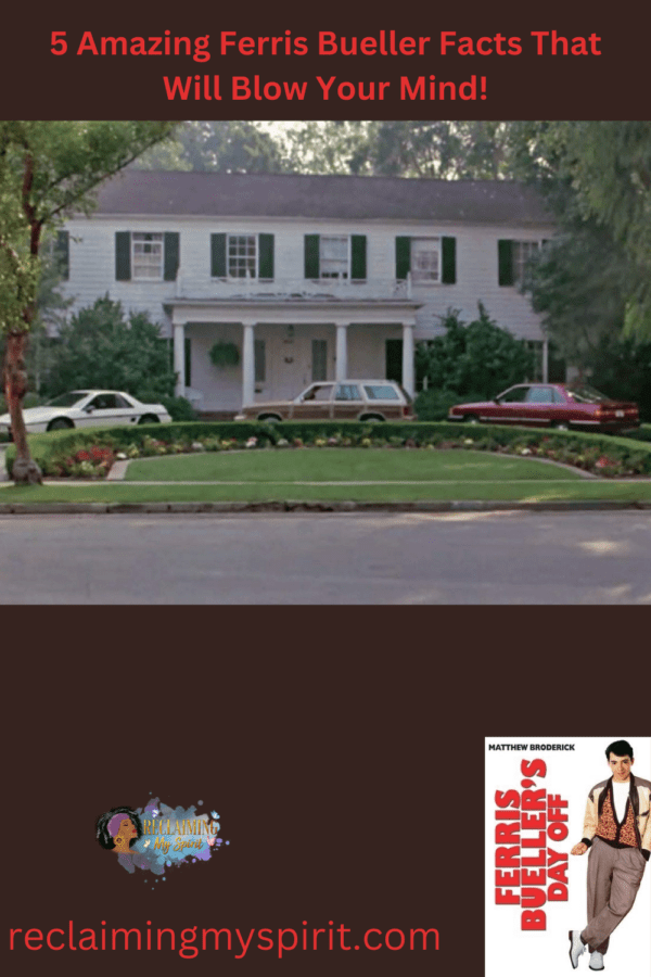 Amazing Ferris Bueller Facts Reclaiming My Spirit   Ferris Bueller Part 1 3 Png 600x900 