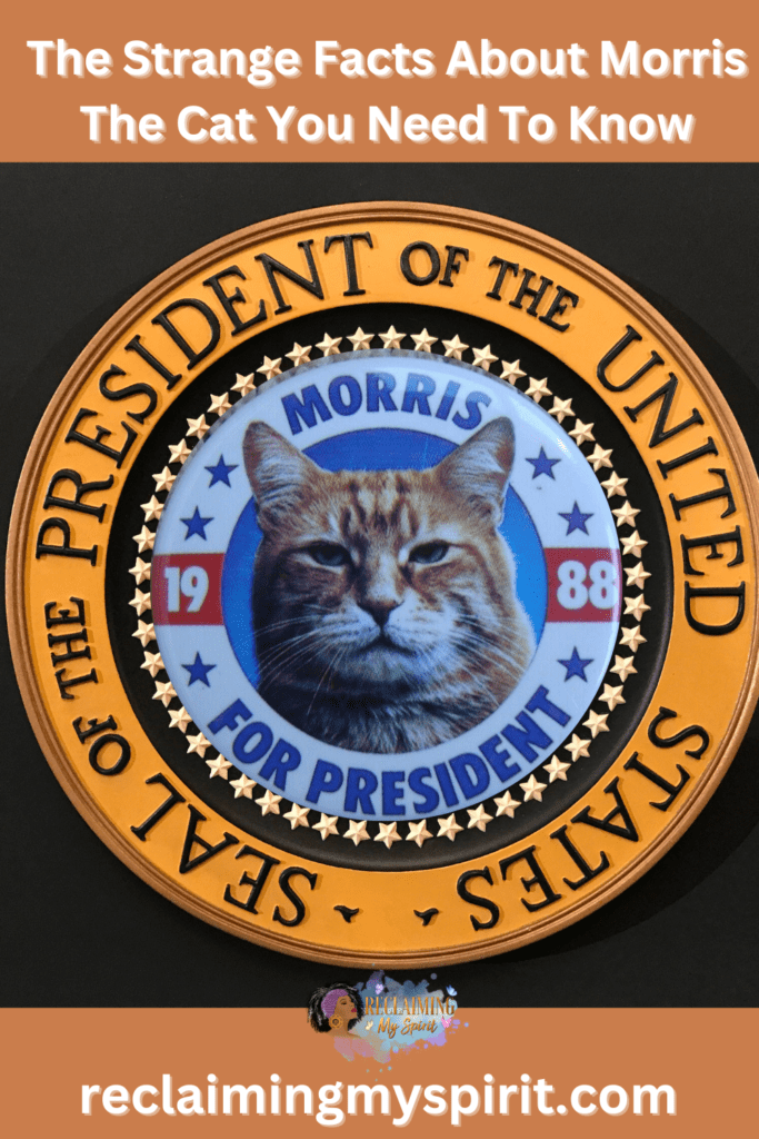 Morris The Cat ran for President in 1988