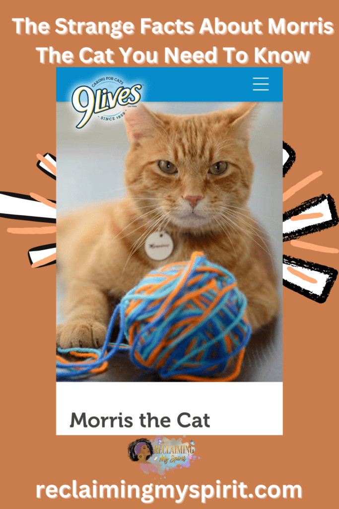 Morris The Cat has a blog